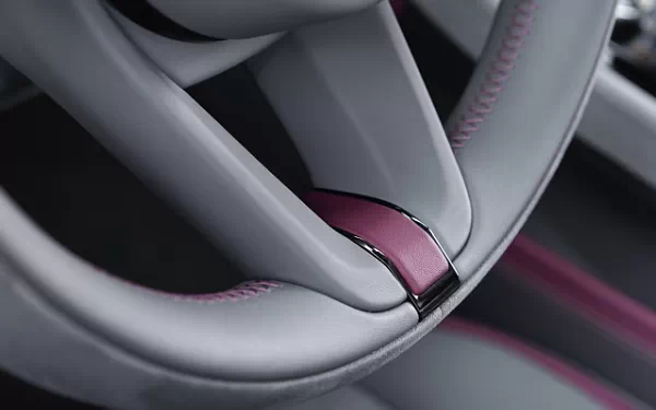   Bentley Continental GT Speed First Edition (Magenta) - 2024