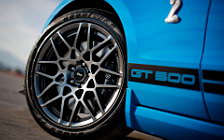   Ford Shelby GT500 - 2013