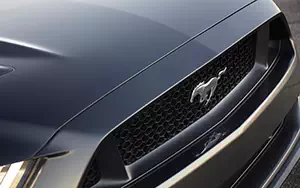   Ford Mustang GT Convertible - 2014