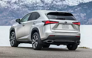   Lexus NX 300 F SPORT CA-spec - 2017