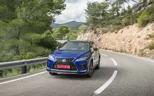   Lexus RX 300 (Blue) - 2019