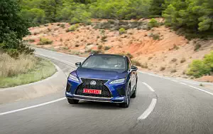   Lexus RX 300 (Blue) - 2019