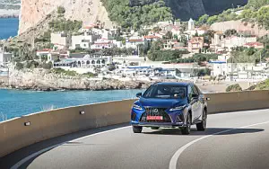   Lexus RX 300 (Blue) - 2019