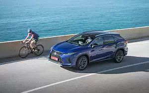   Lexus RX 300 (Blue) - 2019