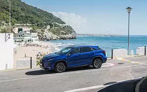   Lexus RX 300 (Blue) - 2019