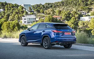   Lexus RX 300 (Blue) - 2019