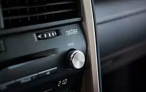   Lexus RX 300 (Blue) - 2019