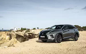   Lexus RX 450h (Grey) - 2019