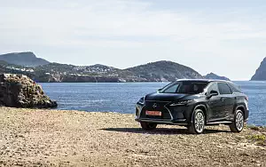   Lexus RX 450hL (Black) - 2019