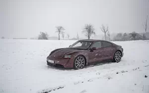   Porsche Taycan (Cherry Metallic) - 2021
