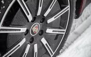   Porsche Taycan (Cherry Metallic) - 2021