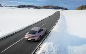   Porsche Taycan (Frozen Berry Metallic) - 2021