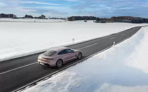   Porsche Taycan (Frozen Berry Metallic) - 2021