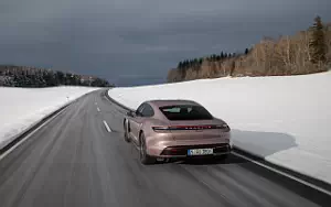   Porsche Taycan (Frozen Berry Metallic) - 2021