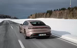   Porsche Taycan (Frozen Berry Metallic) - 2021