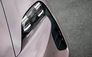   Porsche Taycan (Frozen Berry Metallic) - 2021