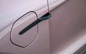   Porsche Taycan (Frozen Berry Metallic) - 2021