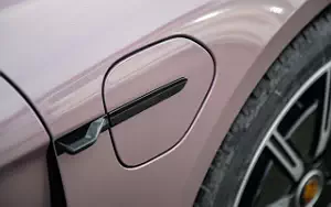   Porsche Taycan (Frozen Berry Metallic) - 2021