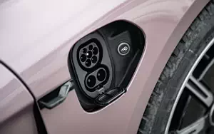   Porsche Taycan (Frozen Berry Metallic) - 2021