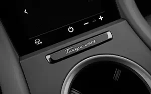   Porsche Taycan (Frozen Berry Metallic) - 2021